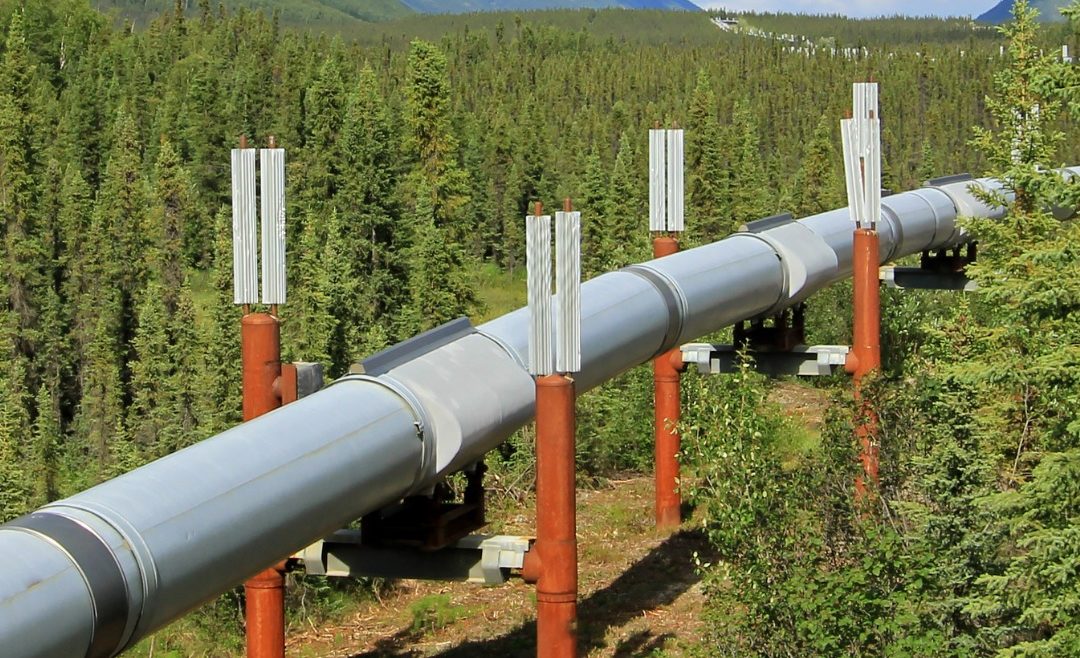 Vivepox single component fund you need a versatile fund that